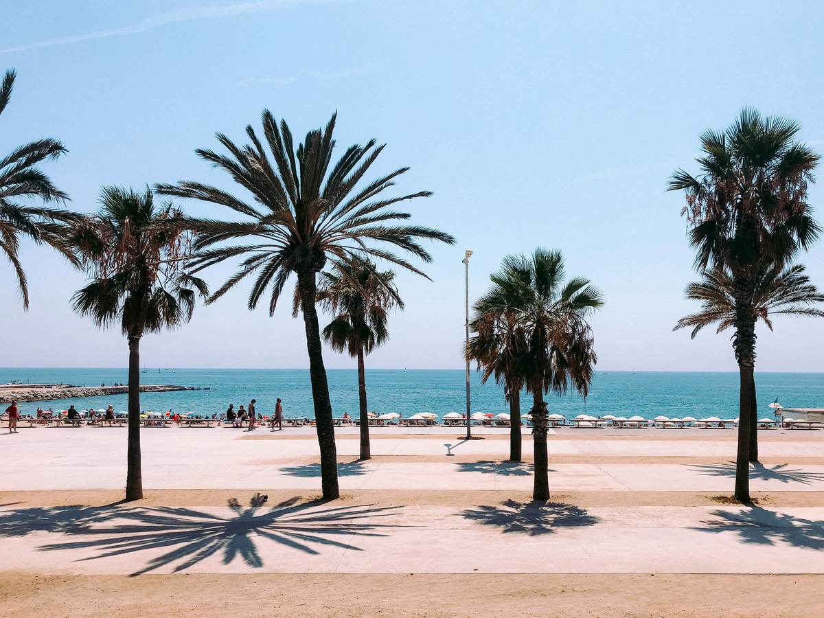 Barcelone plage palmiers